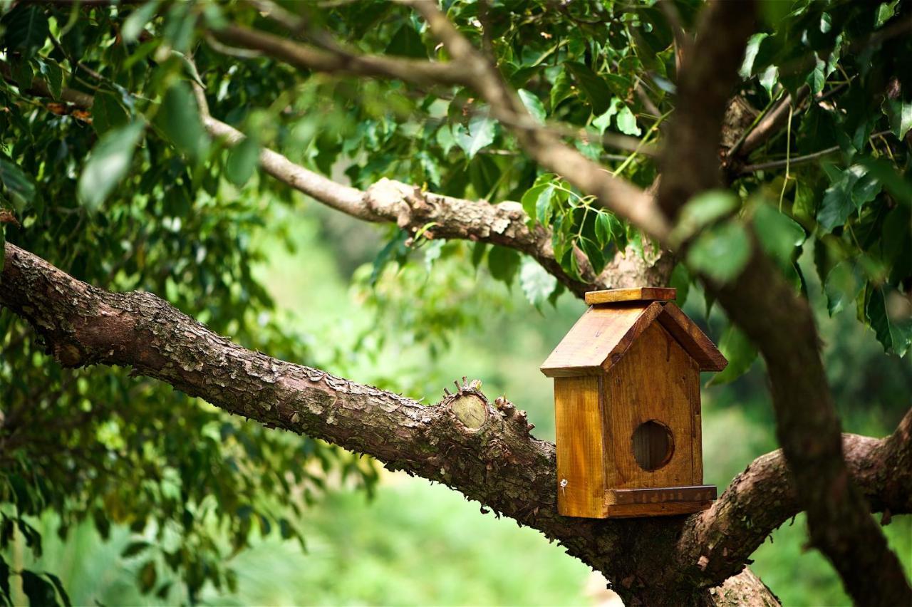 Shangrila Leisure Farm Dongshan  Dış mekan fotoğraf