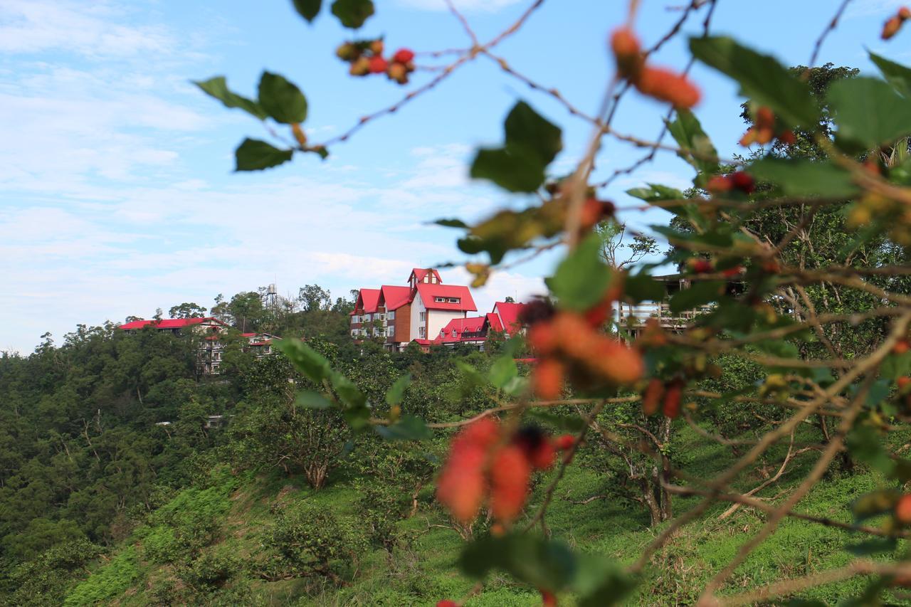 Shangrila Leisure Farm Dongshan  Dış mekan fotoğraf